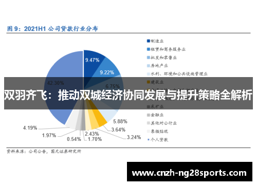 双羽齐飞：推动双城经济协同发展与提升策略全解析
