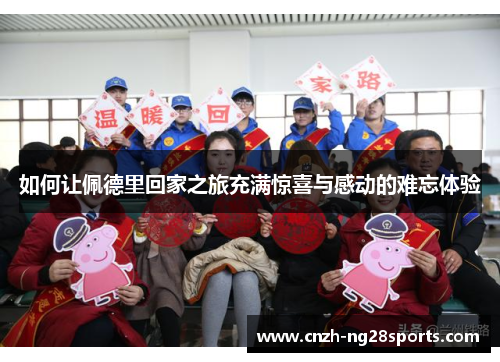 如何让佩德里回家之旅充满惊喜与感动的难忘体验
