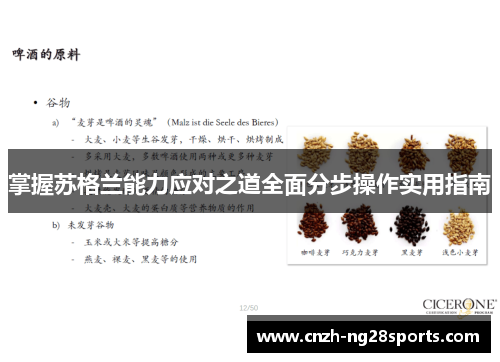 掌握苏格兰能力应对之道全面分步操作实用指南