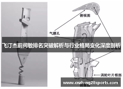 飞汀杰蔚阀敏排名突破解析与行业格局变化深度剖析 飞汀杰蔚阀敏排名突破解析与行业格局变化深度剖析