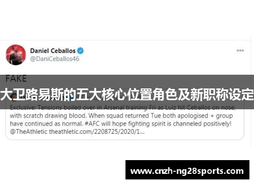 大卫路易斯的五大核心位置角色及新职称设定 大卫路易斯的五大核心位置角色及新职称设定