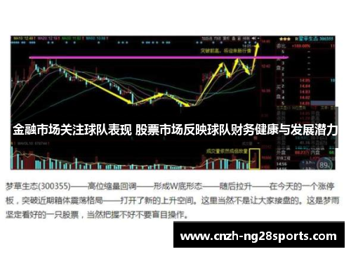 金融市场关注球队表现 股票市场反映球队财务健康与发展潜力