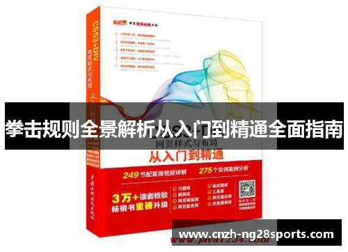 拳击规则全景解析从入门到精通全面指南